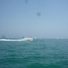 20120805- (202)